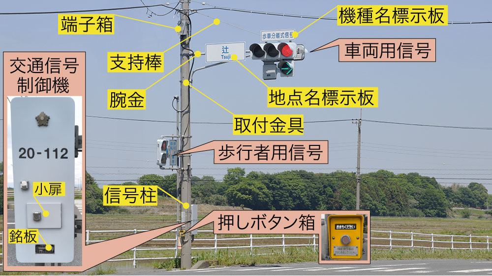 歩行者用信号や信号柱まわりの各部名称を示した図解画像